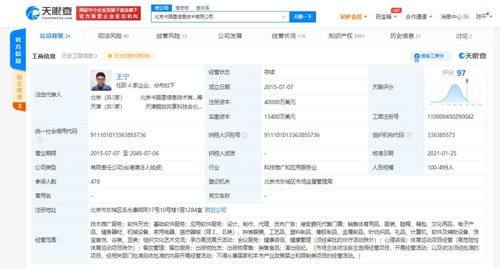 软件技术推广服务 连接创新与市场的桥梁