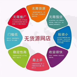 拼多多软件定制贴牌加盟精细化运营技术一对一教学